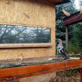 photo 2022-10-26 09-18-55