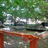 photo 2022-06-03 13-33-39