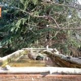 photo 2023-03-13 08-55-30