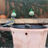 photo 2024-01-22 08-20-39