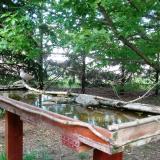 photo 2022-05-01 17-16-50