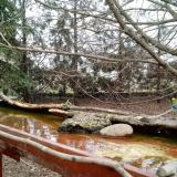 photo 2022-02-20 13-17-04