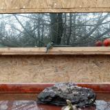 photo 2022-02-01 13-38-41