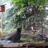 photo 2023-06-08 12-03-31