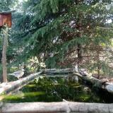 photo 2023-04-20 09-50-28