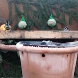 photo 2024-01-08 08-44-35