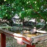 photo 2022-05-12 16-25-34