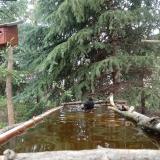 photo 2023-04-01 12-09-23