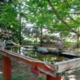 photo 2022-04-30 10-40-16