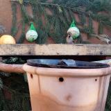 photo 2024-01-04 10-42-17