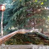 photo 2023-09-27 09-40-28