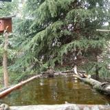 photo 2023-04-03 11-59-34