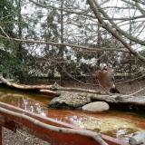 photo 2022-02-20 12-27-27