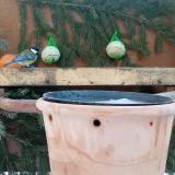 photo 2024-01-21 09-17-50