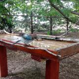 photo 2022-07-01 16-27-12