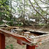 photo 2022-04-07 10-56-35