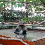 photo 2022-06-20 18-26-41 szajko