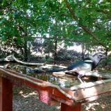 photo 2022-06-01 15-37-44