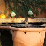 photo 2024-01-11 15-07-06