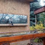 photo 2022-11-15 13-39-23