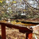 photo 2022-10-23 13-14-35