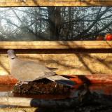 photo 2022-02-14 09-13-51