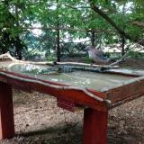 photo 2022-06-24 20-04-58