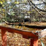 photo 2022-10-23 11-30-12