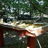 photo 2022-07-21 15-18-05