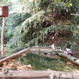 photo 2023-09-30 17-05-03