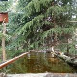 photo 2023-04-03 10-59-10