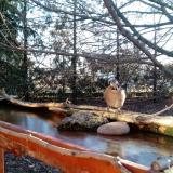 photo 2022-02-24 07-43-54