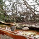 photo 2022-02-21 08-46-58