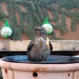 photo 2024-01-26 08-42-41 2