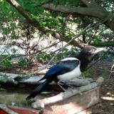 photo 2022-06-06 18-11-16