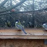 photo 2022-12-11 10-22-24