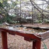 photo 2022-10-22 16-30-47