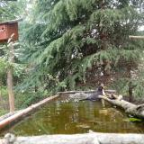 photo 2023-04-09 12-37-08