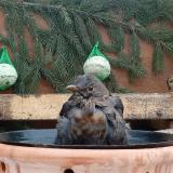 photo 2024-01-24 09-12-54 2