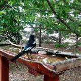 photo 2022-05-30 13-23-40