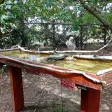 photo 2022-07-31 15-22-43