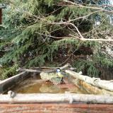 photo 2023-03-13 15-37-16