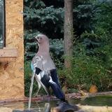 photo 2022-10-26 09-18-55 szajko