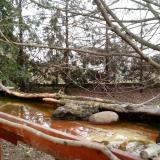 photo 2022-02-21 08-46-41