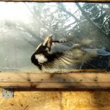 photo 2022-12-12 08-57-15