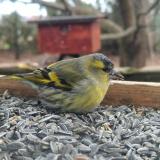 393205506 1832366663890165 5528469751190444760 n