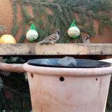 photo 2024-01-10 10-14-03