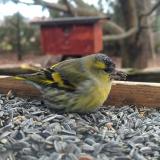 405605188 371432112214393 8046233147239650706 n