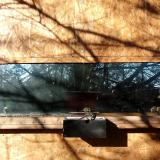 photo 2023-02-05 09-22-35