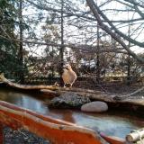 photo 2022-02-24 07-32-33